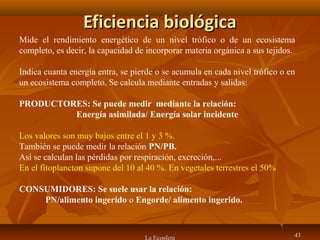 Eficiencia biológicaEficiencia biológica
La Ecosfera 4343
Mide el rendimiento energético de un nivel trófico o de un ecosistema
completo, es decir, la capacidad de incorporar materia orgánica a sus tejidos.
Indica cuanta energía entra, se pierde o se acumula en cada nivel trófico o en
un ecosistema completo. Se calcula mediante entradas y salidas:
PRODUCTORES: Se puede medir mediante la relación:
Energía asimilada/ Energía solar incidente
Los valores son muy bajos entre el 1 y 3 %.
También se puede medir la relación PN/PB.
Así se calculan las pérdidas por respiración, excreción,...
En el fitoplancton supone del 10 al 40 %. En vegetales terrestres el 50%
CONSUMIDORES: Se suele usar la relación:
PN/alimento ingerido o Engorde/ alimento ingerido.
 