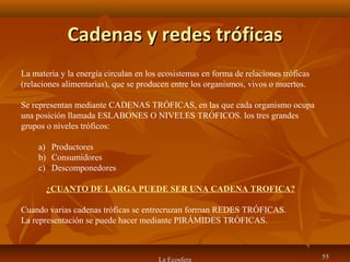 Cadenas y redes tróficasCadenas y redes tróficas
La Ecosfera 5555
La materia y la energía circulan en los ecosistemas en forma de relaciones tróficas
(relaciones alimentarias), que se producen entre los organismos, vivos o muertos.
Se representan mediante CADENAS TRÓFICAS, en las que cada organismo ocupa
una posición llamada ESLABONES O NIVELES TRÓFICOS. los tres grandes
grupos o niveles tróficos:
a) Productores
b) Consumidores
c) Descomponedores
¿CUANTO DE LARGA PUEDE SER UNA CADENA TROFICA?
Cuando varias cadenas tróficas se entrecruzan forman REDES TRÓFICAS.
La representación se puede hacer mediante PIRÁMIDES TRÓFICAS.
 