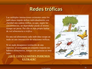 Redes tróficasRedes tróficas
La Ecosfera 5656
Las múltiples interacciones existentes entre los
individuos impide definir individualmente con
claridad una cadena trófica, ya que, según las
circunstancias, un depredador puede al mismo
tiempo ser presa. Por ello es más propio hablar
de red alimentaria o trófica.
En una red alimentaria cada individuo ocupa un
nudo en una intersección de relaciones tróficas.
Si un nudo desaparece (extinción de una
especie), el ecosistema en conjunto reajusta sus
hábitos alimentarios, aunque este proceso es muy
lento
¿QUÉ CONCLUSIONES PODEMOS
EXTRAER?
 