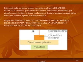 La Ecosfera 6161
Esto puede inducir a que en algunos momentos se observen PIRÁMIDES
INVERTIDAS debido a que los datos se toman en un momento determinado, por
ejemplo cuando los datos se toman en el momento de mayor consumo por parte de los
herbívoros, como en algunos ecosistemas marinos.
Proporciona información sobre LA CANTIDAD DE MATERIA ORGÁNICA
PRESENTE EN CADA NIVEL TRÓFICO y sobre LA COMPOSICIÓN Y
FUNCIONAMIENTO DEL ECOSISTEMA.
 