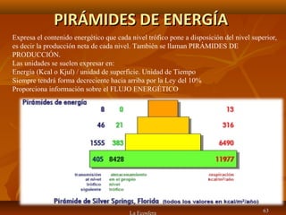 PIRÁMIDES DE ENERGÍAPIRÁMIDES DE ENERGÍA
La Ecosfera 6363
Expresa el contenido energético que cada nivel trófico pone a disposición del nivel superior,
es decir la producción neta de cada nivel. También se llaman PIRÁMIDES DE
PRODUCCIÓN.
Las unidades se suelen expresar en:
Energía (Kcal o Kjul) / unidad de superficie. Unidad de Tiempo
Siempre tendrá forma decreciente hacia arriba por la Ley del 10%
Proporciona información sobre el FLUJO ENERGÉTICO
 