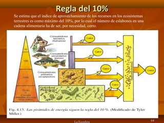 Regla del 10%Regla del 10%
La Ecosfera 6464
Se estima que el índice de aprovechamiento de los recursos en los ecosistemas
terrestres es como máximo del 10%, por lo cual el número de eslabones en una
cadena alimentaria ha de ser, por necesidad, corto.
 