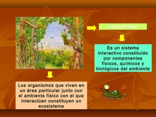 ECOSISTEMA
Es un sistema
interactivo constituido
por componentes
físicos, químicos y
biológicos del ambiente
Los organismos que viven en
un área particular junto con
el ambiente físico con el que
interactúan constituyen un
ecosistema
 