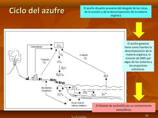 Ciclo del azufreCiclo del azufre
La Ecosfera 8080
El azufre disuelto proviene del desgate de las rocas,
de la erosión y de la descomposición de la materia
orgánica
El azufre gaseoso
tiene como fuentes la
descomposición de la
materia orgánica, la
emisión de DMS por
algas de los océanos y
las erupciones
volcánicas
El Dióxido de azufre(SO2)es un contaminante
atmosférico
 