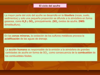 El ciclo del azufre
La mayor parte del ciclo del azufre se desarrolla en la litosfera (rocas, suelo,
sedimentos) y solo una pequeña proporción se difunde a la atmósfera en forma
gaseosa, como H2S y SO2, principalmente. (SOx: óxidos de azufre, DMS:
dimetilsulfuro).
En las zonas mineras, la oxidación de los sulfuros metálicos provoca la
acidificación de las aguas de drenaje.
La acción humana es responsable de la emisión a la atmósfera de grandes
cantidades de azufre en forma de SO2, como consecuencia de la combustión de
los combustibles fósiles.
 