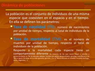 Dinámica de poblaciones
La población es el conjunto de individuos de una misma
especie que coexisten en el espacio y en el tiempo.
En ella se definen los parámetros:
 Tasa de natalidad (TN): número de nacimientos
por unidad de tiempo, respecto al total de individuos de la
población.
 Tasa de mortalidad (TM): es el número de
muertos por unidad de tiempo, respecto al total de
individuos de la población.
Respecto a la mortalidad cada especie tiene un
comportamiento diferente (la mayoría de los que nacen llegan a adultos y
posteriormente su TM es elevada (abejas, hombre de países desarrollados, grandes mamíferos) o la
TM es igual a lo largo de su vida (gaviota, gorrión,..) o la TM es elevada en estados iniciales (tortuga,
ostra, vegetales,...)
 