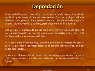 DepredaciónDepredación
La Ecosfera 9898
La depredación es un mecanismo muy importante de mantenimiento del
equilibrio y de evolución en los ecosistemas. Cuando un depredador se
alimenta de la presa, lo hace generalmente a costa de los individuos más
débiles, disminuyendo su número, pero quedando los más fuertes.
Una vez que el número de presas disminuye, no hay suficiente alimento
por lo que también lo hace el número de depredadores y por tanto
también suelen morir los más débiles.
Al haber menos depredadores, vuelve a aumentar el número de presas,
pero las que nacen son descendientes de las que sobrevivieron, es decir
de las más fuertes.
Igualmente al aumentar el número de presas hay más alimento y nacen
más depredadores, también descendientes de los supervivientes más
fuertes.
 