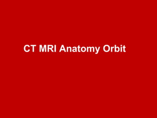 CT MRI Anatomy Orbit
 