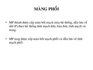 MAØNG PHOÅI
• MP thaønh ñöôïc caáp maùu bôûi maïch maùu heä thoáng, daãn löu veà
nhó (P) theo heä thoáng tónh maïch ñôn, baùn ñôn, tónh maïch vuù
trong.
• MP taïng ñöôïc caáp maùu bôûi maïch phoåi vaø daãn löu veà tónh
maïch phoåi.
 