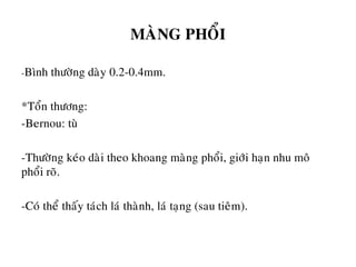 MAØNG PHOÅI
-Bình thöôøng daøy 0.2-0.4mm.
*Toån thöông:
-Bernou: tuø
-Thöôøng keùo daøi theo khoang maøng phoåi, giôùi haïn nhu moâ
phoåi roõ.
-Coù theå thaáy taùch laù thaønh, laù taïng (sau tieâm).
 