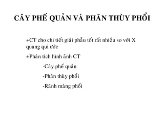 CAÂY PHEÁ QUAÛN VAØ PHAÂN THUØY PHOÅI
+CT cho chi tieát giaûi phaãu toát raát nhieàu so vôùi X
quang qui öôùc
+Phaân tích hình aûnh CT
-Caây pheá quaûn
-Phaân thuøy phoåi
-Raõnh maøng phoåi
 