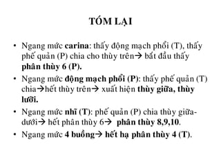 TOÙM LAÏI
• Ngang möùc carina: thaáy ñoäng maïch phoåi (T), thaáy
pheá quaûn (P) chia cho thuøy treân baét ñaàu thaáy
phaân thuøy 6 (P).
• Ngang möùc ñoäng maïch phoåi (P): thaáy pheá quaûn (T)
chiaheát thuøy treân xuaát hieän thuøy giöõa, thuøy
löôõi.
• Ngang möùc nhó (T): pheá quaûn (P) chia thuøy giöõa-
döôùi heát phaân thuøy 6 phaân thuøy 8,9,10.
• Ngang möùc 4 buoàng heát haï phaân thuøy 4 (T).
 