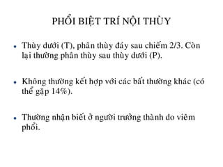 PHOÅI BIEÄT TRÍ NOÄI THUØY
 Thuøy döôùi (T), phaân thuøy ñaùy sau chieám 2/3. Coøn
laïi thöôøng phaân thuøy sau thuøy döôùi (P).
 Khoâng thöôøng keát hôïp vôùi caùc baát thöôøng khaùc (coù
theå gaëp 14%).
 Thöôøng nhaän bieát ôû ngöôøi tröôûng thaønh do vieâm
phoåi.
 