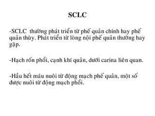 SCLC
-SCLC thöôøng phaùt trieån töø pheá quaûn chính hay pheá
quaûn thuøy. Phaùt trieån töø loøng noäi pheá quaûn thöôøng hay
gaëp.
-Haïch roán phoåi, caïnh khí quaûn, döôùi carina lieân quan.
-Haàu heát maùu nuoâi töø ñoäng maïch pheá quaûn, moät soá
ñöôïc nuoâi töø ñoäng maïch phoåi.
 
