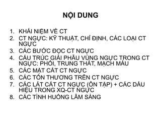 NỘI DUNG
1. KHÁI NIỆM VỀ CT
2. CT NGỰC: KỸ THUẬT, CHỈ ĐỊNH, CÁC LOẠI CT
NGỰC
3. CÁC BƯỚC ĐỌC CT NGỰC
4. CẤU TRÚC GIẢI PHẪU VÙNG NGỰC TRONG CT
NGỰC: PHỔI, TRUNG THẤT, MẠCH MÁU
5. CÁC MẶT CẮT CT NGỰC
6. CÁC TỔN THƯƠNG TRÊN CT NGỰC
7. CÁC LÁT CẮT CT NGỰC (ÔN TẬP) + CÁC DẤU
HIỆU TRONG XQ-CT NGỰC
8. CÁC TÌNH HUỐNG LÂM SÀNG
 