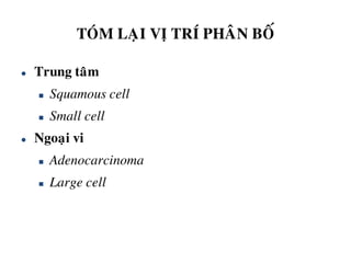 TOÙM LAÏI VÒ TRÍ PHAÂN BOÁ
 Trung taâm
 Squamous cell
 Small cell
 Ngoaïi vi
 Adenocarcinoma
 Large cell
 