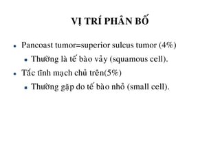 VÒ TRÍ PHAÂN BOÁ
 Pancoast tumor=superior sulcus tumor (4%)
 Thöôøng laø teá baøo vaûy (squamous cell).
 Taéc tónh maïch chuû treân(5%)
 Thöôøng gaëp do teá baøo nhoû (small cell).
 