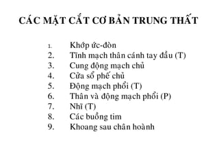 1. Khôùp öùc-ñoøn
2. Tónh maïch thaân caùnh tay ñaàu (T)
3. Cung ñoäng maïch chuû
4. Cöûa soå pheá chuû
5. Ñoäng maïch phoåi (T)
6. Thaân vaø ñoäng maïch phoåi (P)
7. Nhó (T)
8. Caùc buoàng tim
9. Khoang sau chaân hoaønh
CAÙC MAËT CAÉT CÔ BAÛN TRUNG THAÁT
 