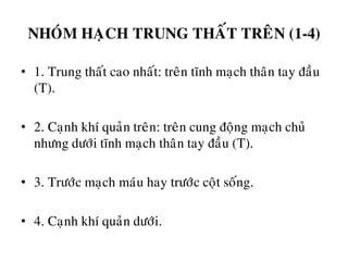 NHOÙM HAÏCH TRUNG THAÁT TREÂN (1-4)
• 1. Trung thaát cao nhaát: treân tónh maïch thaân tay ñaàu
(T).
• 2. Caïnh khí quaûn treân: treân cung ñoäng maïch chuû
nhöng döôùi tónh maïch thaân tay ñaàu (T).
• 3. Tröôùc maïch maùu hay tröôùc coät soáng.
• 4. Caïnh khí quaûn döôùi.
 