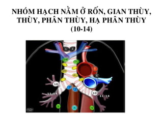 NHOÙM HAÏCH NAÈM ÔÛ ROÁN, GIAN THUØY,
THUØY, PHAÂN THUØY, HAÏ PHAÂN THUØY
(10-14)
 