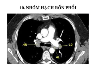 10. NHOÙM HAÏCH ROÁN PHOÅI
 