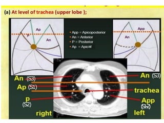 (S3)
(S1)
(S2) (
S
1
-
‐
2
)
(S3)
 