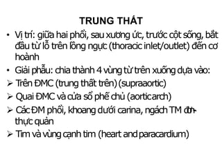 • Vị trí:giữahaiphổi,sauxươngức,trước cộtsống,bắt
đầutừ lỗ trên lồngngực(thoracicinlet/outlet) đếncơ
hoành
• Giảiphẫu:chiathành4vùngtừ trên xuốngdựavào:
 T
rênĐMC(trung thất trên)(supraaortic)
 QuaiĐMC vàcửa sổphế chủ(aorticarch)
 CácĐMphổi,khoangdưới carina,ngáchTM đ
ơ
n
-
‐
thựcquản
 Timvàvùngcạnhtim (heartandparacardium)
TRUNG THẤT
 
