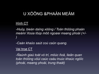 U XÖÔNG &PHAÀN MEÀM
Hình CT
-Huûy, bieán daïng xöông / Toån thöông phaàn
meàm/ Xoùa lôùp môõ ngoøai maøng phoåi (+/-
)
-Caàn khaûo saùt coù caûn quang.
Vai troø CT
-Ñaùnh giaù toát vò trí, möùc ñoä, lieân quan
toån thöông vôùi caùc caáu truùc khaùc ngöïc
(phoåi, maøng phoåi, trung thaát)
 