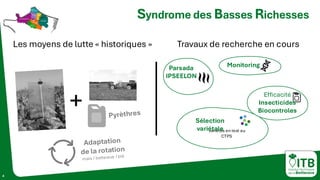 Efficacité
Insecticides
Biocontroles
4
Les moyens de lutte « historiques » Travaux de recherche en cours
+
variétés en test au
CTPS
Monitoring
Parsada
IPSEELON
Sélection
variétale
Syndrome des Basses Richesses
 