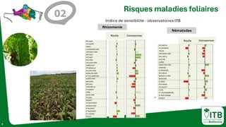 9
Risques maladies foliaires
Indice de sensibilité - observatoires ITB
Rhizomanie
Nématodes
02
 