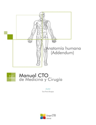 Anatomía humana
(Addendum)
Manual CTO
de Medicina y Cirugía
11.ª
edición
Autor
Eva Pena Burgos
 