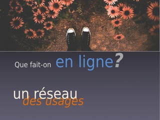 Que fait-on   en ligne?
un réseau
 des usages
 