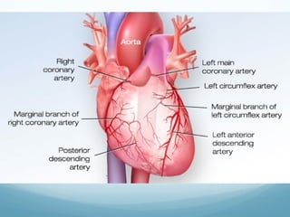 CTCA - CT Coronary Angiography Plaque Characterization | PPT