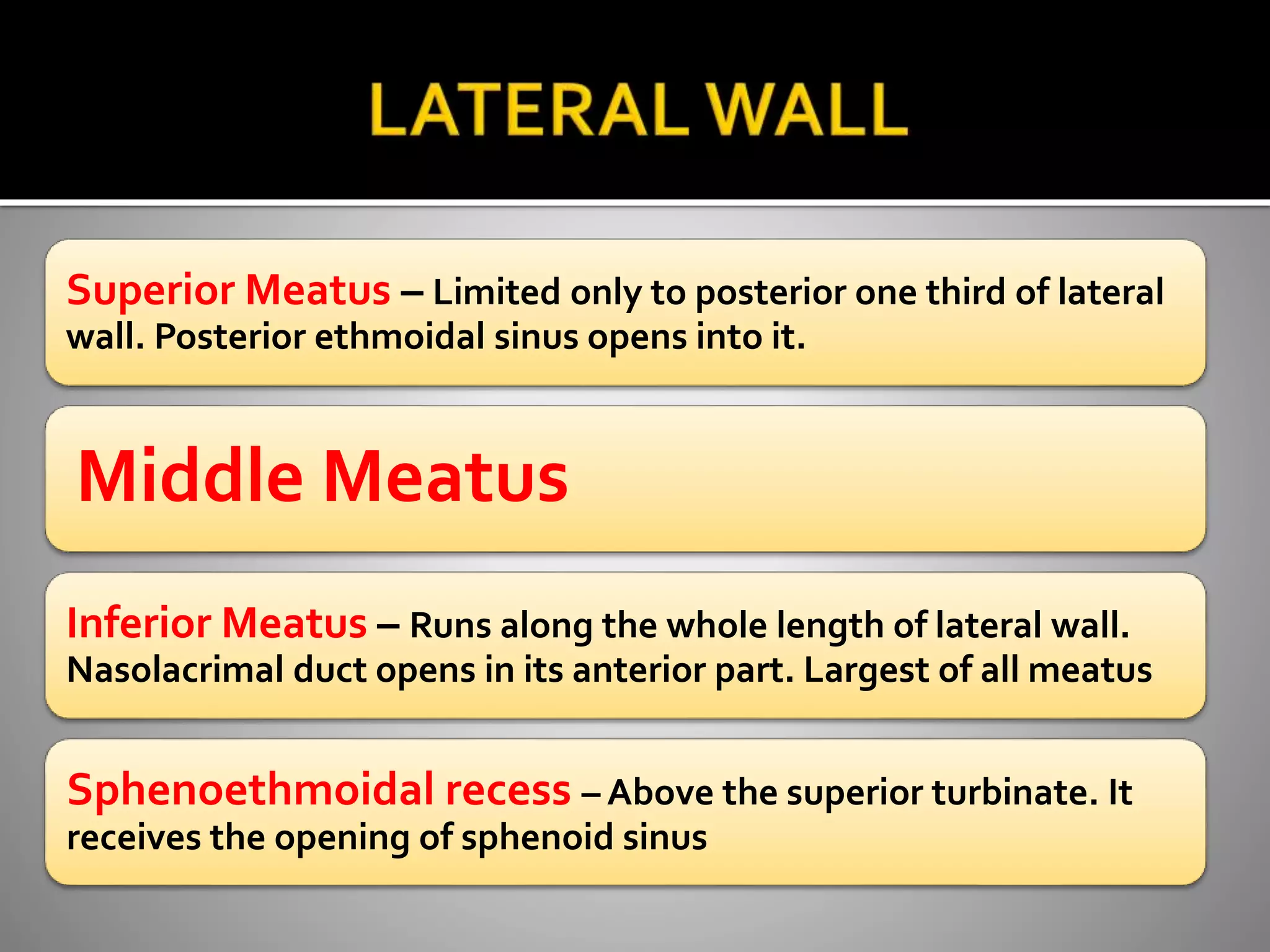 Superior Meatus – Limited only to posterior one third of lateral 
wall. Posterior ethmoidal sinus opens into it. 
Middle Meatus 
Inferior Meatus – Runs along the whole length of lateral wall. 
Nasolacrimal duct opens in its anterior part. Largest of all meatus 
Sphenoethmoidal recess – Above the superior turbinate. It 
receives the opening of sphenoid sinus 
 