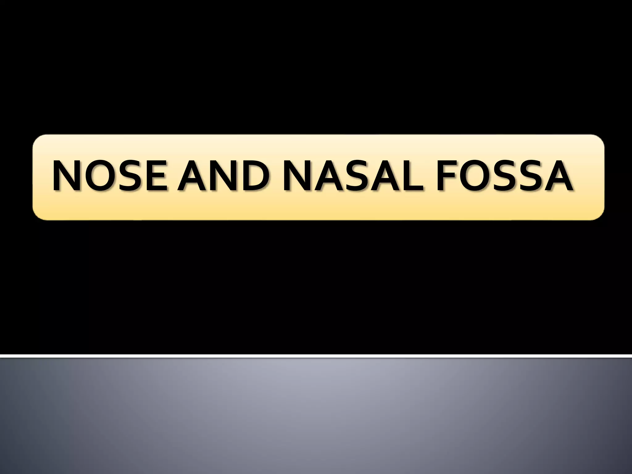 NOSE AND NASAL FOSSA 
 