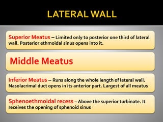  Frontal sinus – Opens into the 
anterior part of hiatus 
semilunaris 
 Maxillary sinus – Opens into the 
posterior part...