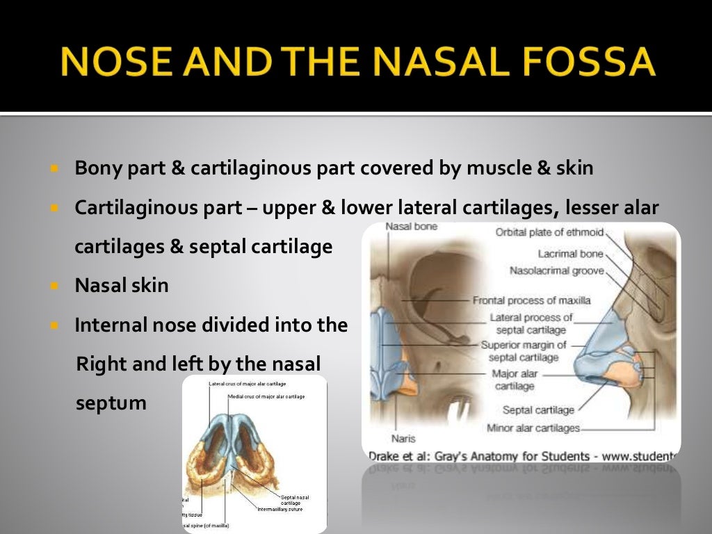 CT ANATOMY OF PARA NASAL SINUSES