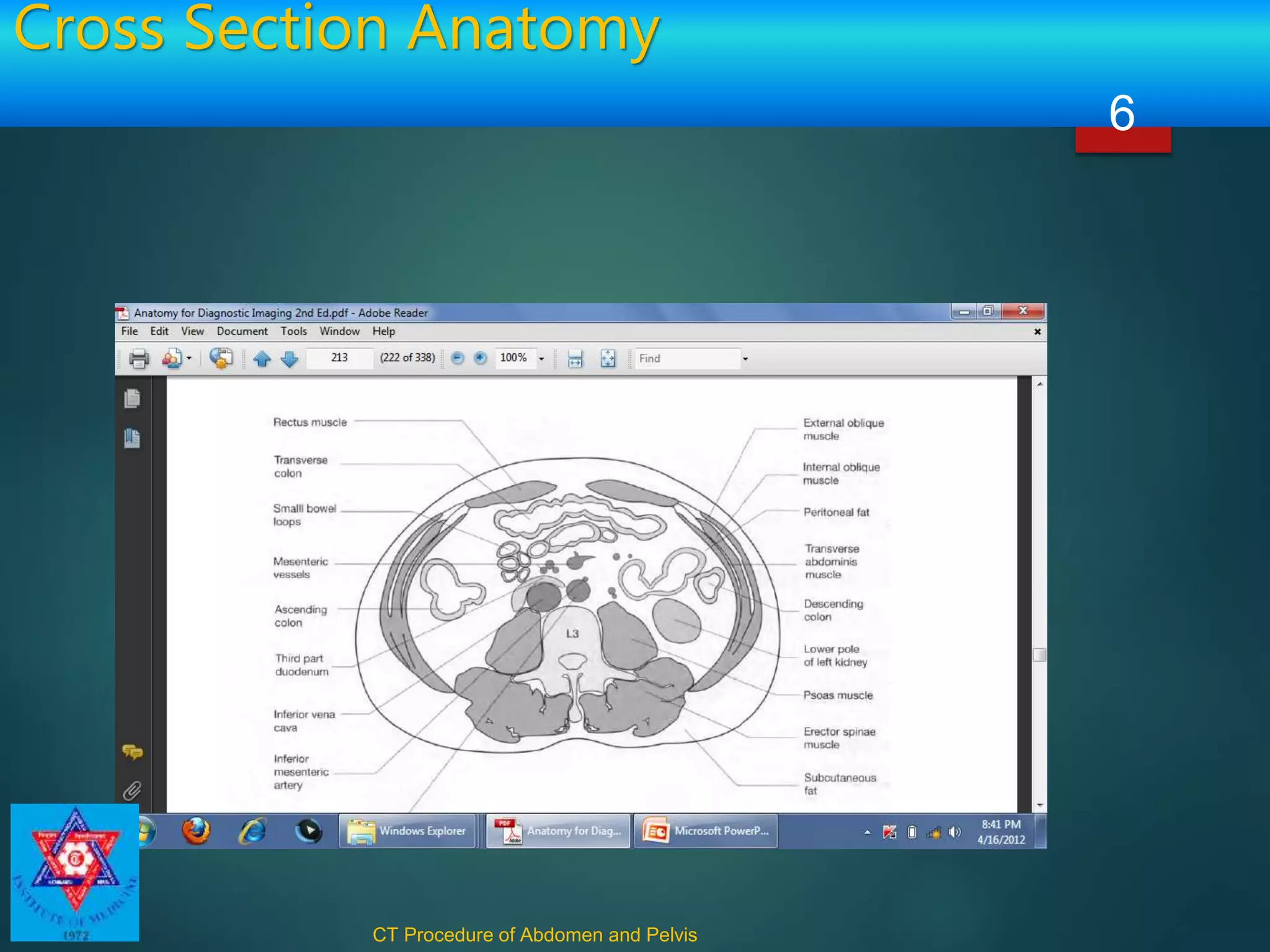 Cross Section Anatomy
CT Procedure of Abdomen and Pelvis
6
 