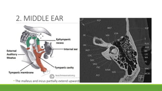 Scutum In Ear CT PROTOCOL OF TEMPORAL BONE AND PNS DURGA PANDEY.pptx
