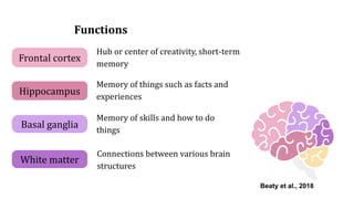 Hub or center of creativity, short-term
memory
Memory of things such as facts and
experiences
Memory of skills and how to do
things
Connections between various brain
structures
Frontal cortex
Hippocampus
Basal ganglia
White matter
Functions
Beaty et al., 2018
 