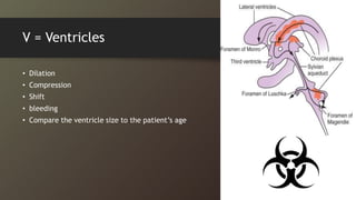 V = Ventricles
• Dilation
• Compression
• Shift
• bleeding
• Compare the ventricle size to the patient’s age
 