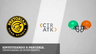 SINTETIZANDO A PARCERIA.
CRONOGRAMA DE INVESTIMENTO.
 