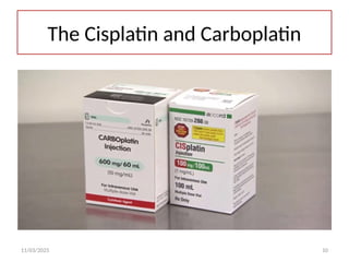 11/03/2025 10
The Cisplatin and Carboplatin
 