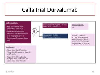 11/03/2025 61
Calla trial-Durvalumab
 
