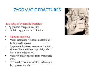 ZYGOMATIC FRACTURES
Two types of zygomatic fractures:
• Zygomatic complex fracture
•   Isolated zygomatic arch fracture
•   Relevant anatomy:
•   Malar eminence = surface anatomy of
the body of zygoma.
•   Zygomatic fractures can cause limitation
of mandibular motion, especially when
fractures are depressed.
•   Masseter muscle arises from zygomatic
arch.
•   Coronoid process is located underneath
the zygomatic arch .
 