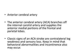 • Anterior cerebral artery
• The anterior cerebral artery (ACA) branches off
the internal carotid artery and supplies the
anterior medial portions of the frontal and
parietal lobes.
• Classic signs of an ACA stroke are contralateral leg
weakness and sensory loss. Keep in mind that
behavioral abnormalities and incontinence also
may occur.

 