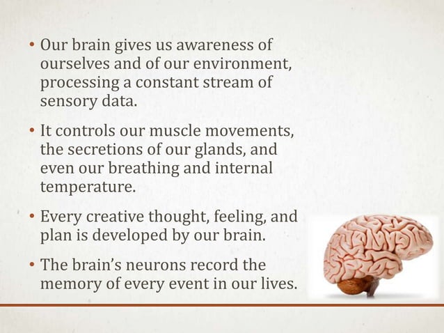 BRAIN CT SCAN | PPTX