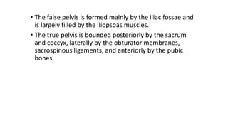 • The false pelvis is formed mainly by the iliac fossae and
is largely filled by the iliopsoas muscles.
• The true pelvis is bounded posteriorly by the sacrum
and coccyx, laterally by the obturator membranes,
sacrospinous ligaments, and anteriorly by the pubic
bones.
 
