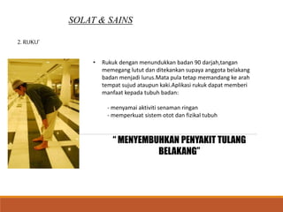 SOLAT & SAINS
2. RUKU’
• Rukuk dengan menundukkan badan 90 darjah,tangan
memegang lutut dan ditekankan supaya anggota belakang
badan menjadi lurus.Mata pula tetap memandang ke arah
tempat sujud ataupun kaki.Aplikasi rukuk dapat memberi
manfaat kepada tubuh badan:
- menyamai aktiviti senaman ringan
- memperkuat sistem otot dan fizikal tubuh
“ MENYEMBUHKAN PENYAKIT TULANG
BELAKANG”
 
