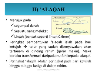 II) ‘ALAQAH
                II) ‘ALAQAH
• Merujuk pada
    segumpal darah
    Sesuatu yang melekat
    Lintah [bentuk seperti lintah 0.6mm]
• Peringkat pembentukan ‘alaqah ialah pada hari
  ketujuh  telur yang sudah disenyawakan akan
  tertanam di dinding rahim (qarar makin). Maka
  berlaku transformasi daripada nutfah kepada ‘alaqah
• Peringkat ‘alaqah adalah peringkat pada hari ketujuh
  hingga minggu ketiga di dalam rahim.
                   cahaYa petuNjuk_ctu085/jun2011
 